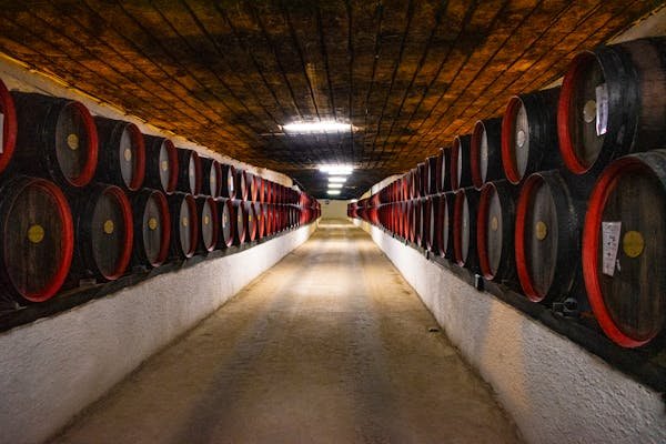 Les secrets de la production de vin en languedoc-roussillon